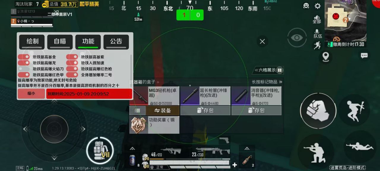 和平精英辅助【神女】