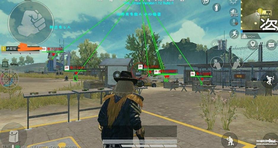 和平精英辅助【飞鸟】